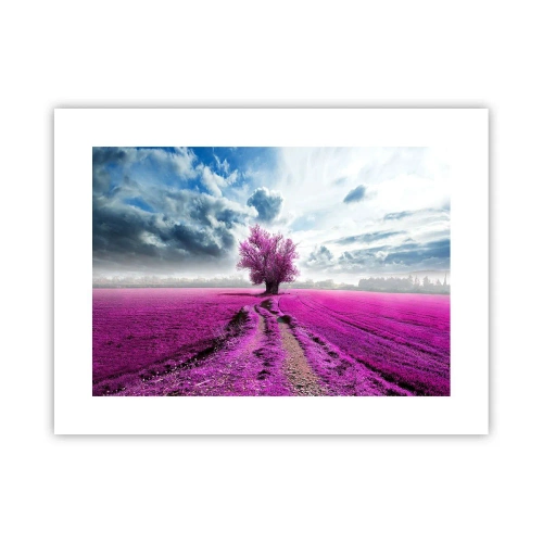 Affiche - Poster - Lande - nature sauvage - 40x30 cm
