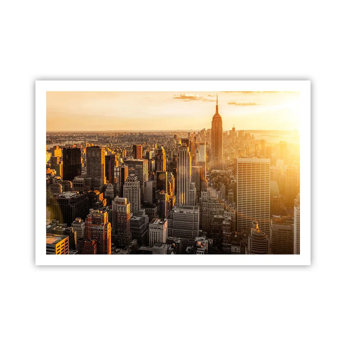 Affiche - Poster - Grandir au soleil - 91x61 cm