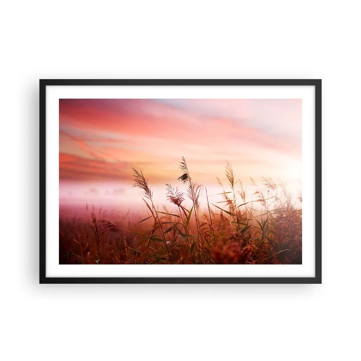 Affiche dans un cadre noir - Poster - Un champ d'herbe sur fond de coucher de soleil pittoresque - 70x50cm - Cerfs-volants, pissenlits, vent - Décoration murale moderne pour le salon et la chambre ARTTOR