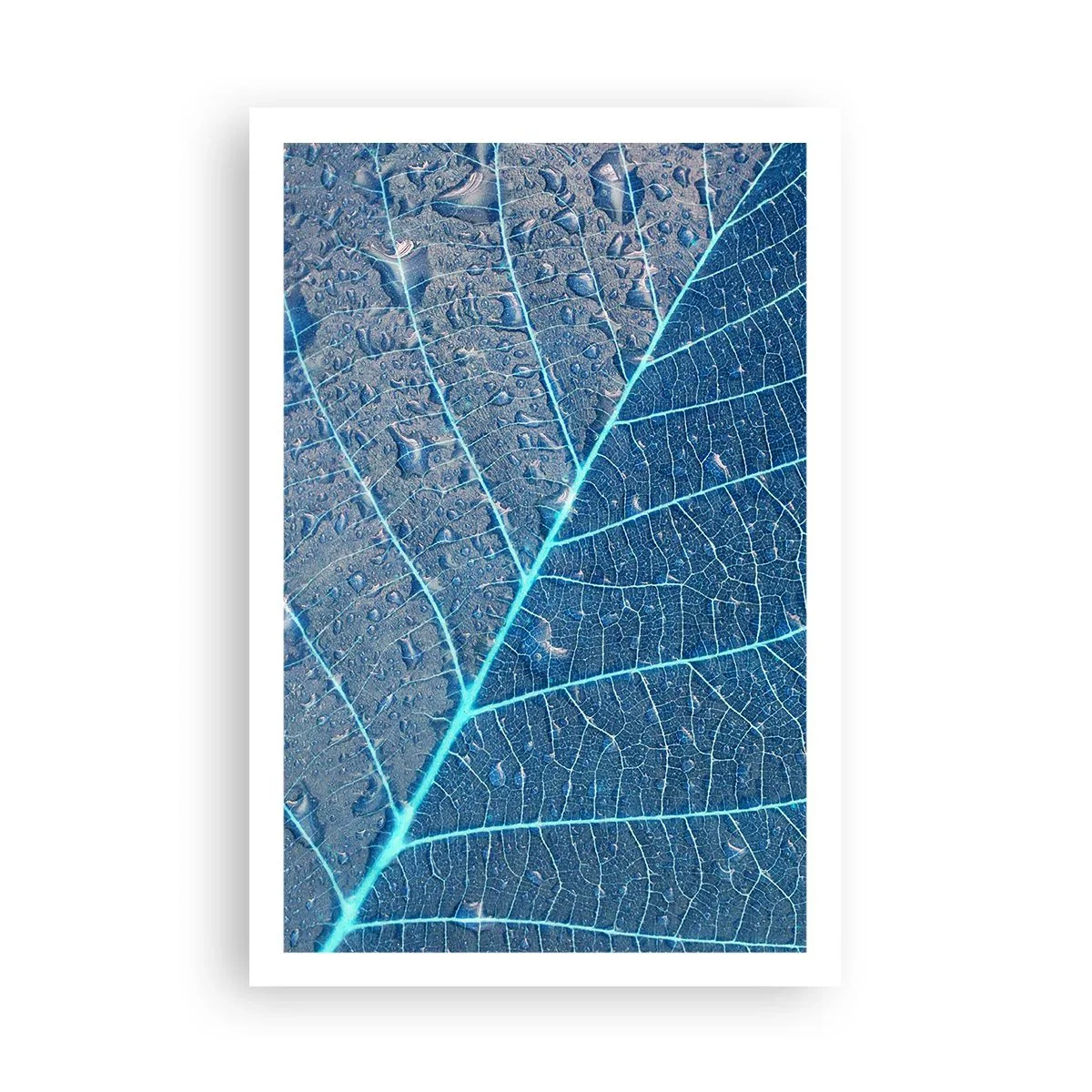 Affiche - Poster - La vie en bleu - 61x91 cm