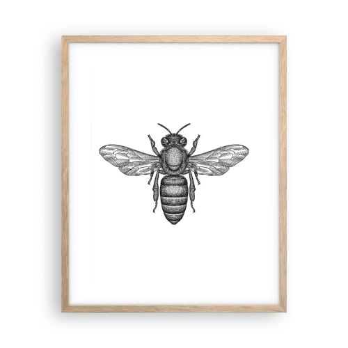 Affiche dans un chêne clair - Poster - Portrait d'insecte - 40x50 cm