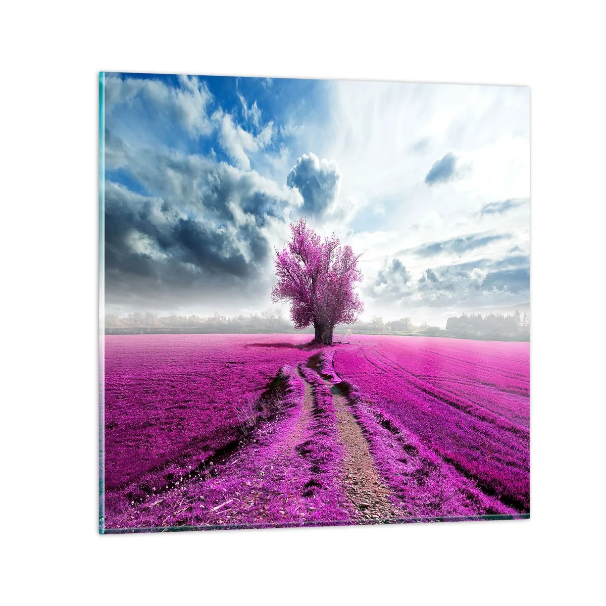 Impression sur verre - Image sur verre - Lande - nature sauvage - 40x40 cm