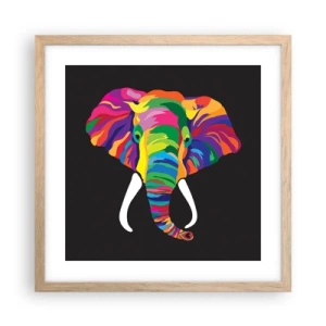 Affiche dans un chêne clair - Poster - L'éléphant qui aimait se baigner dans un arc-en-ciel - 40x40 cm