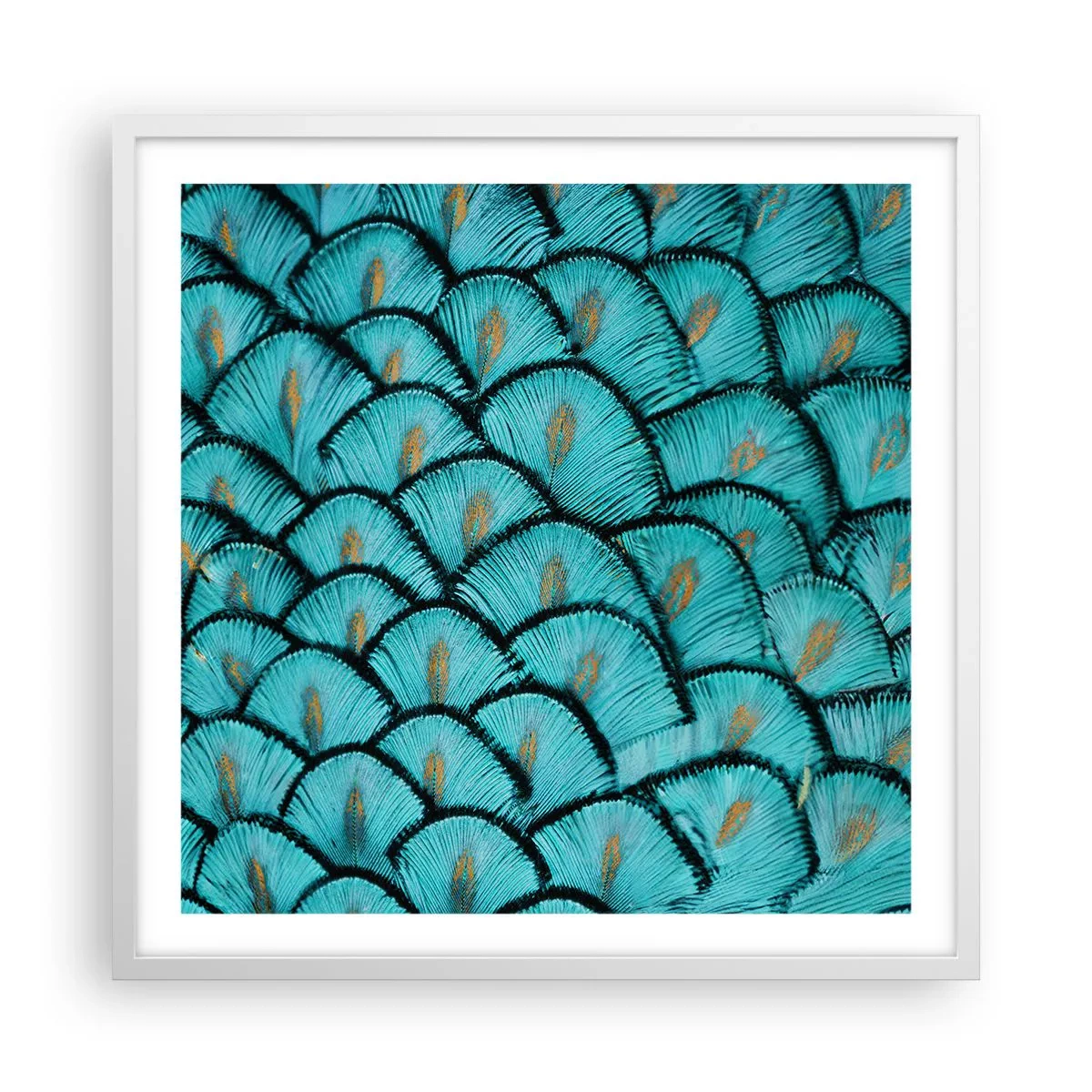 Affiche dans un cadre blanc - Poster - Le grand gala des plumes - 60x60 cm