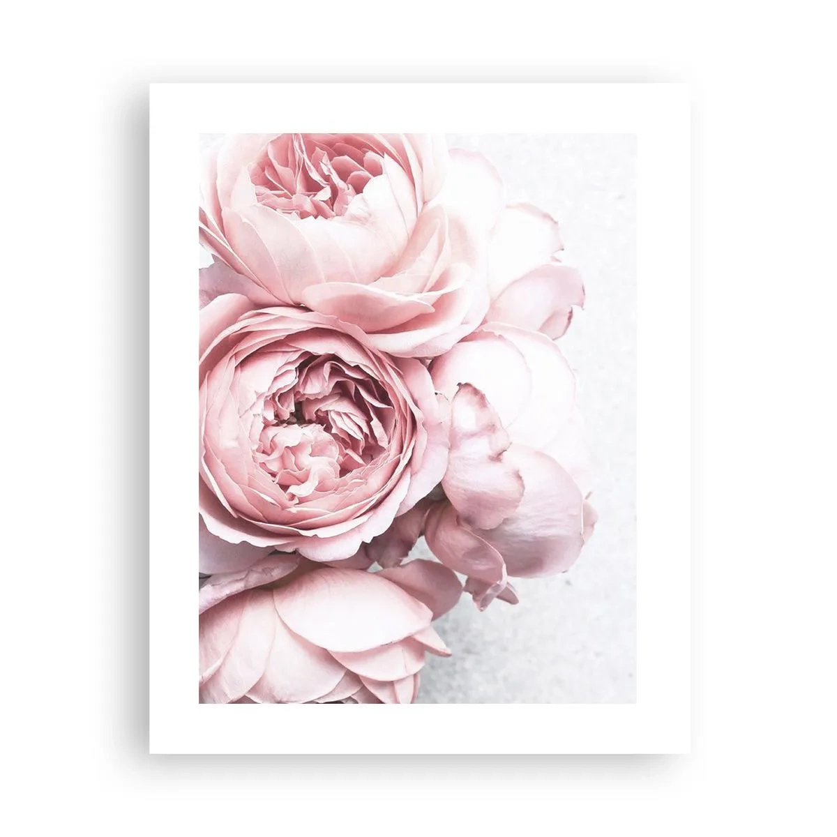 Affiche - Poster - Pour les romantiques - 40x50 cm