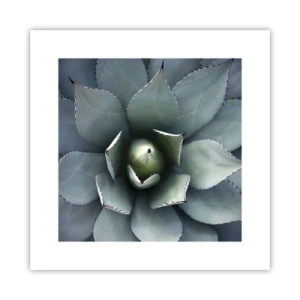 Affiche - Poster - Wabi et observe - 30x30 cm