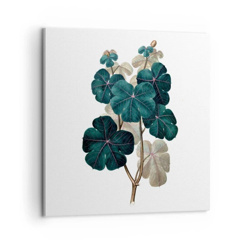 Impression sur toile - Image sur toile - De l'ancien herbier - 60x60 cm