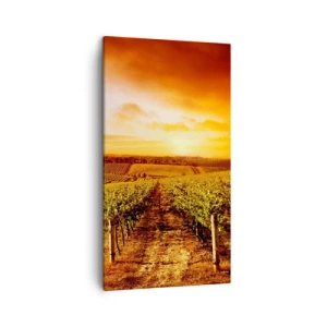 Impression sur toile - Image sur toile - Légèrement fruité avec une pointe de soleil - 45x80 cm