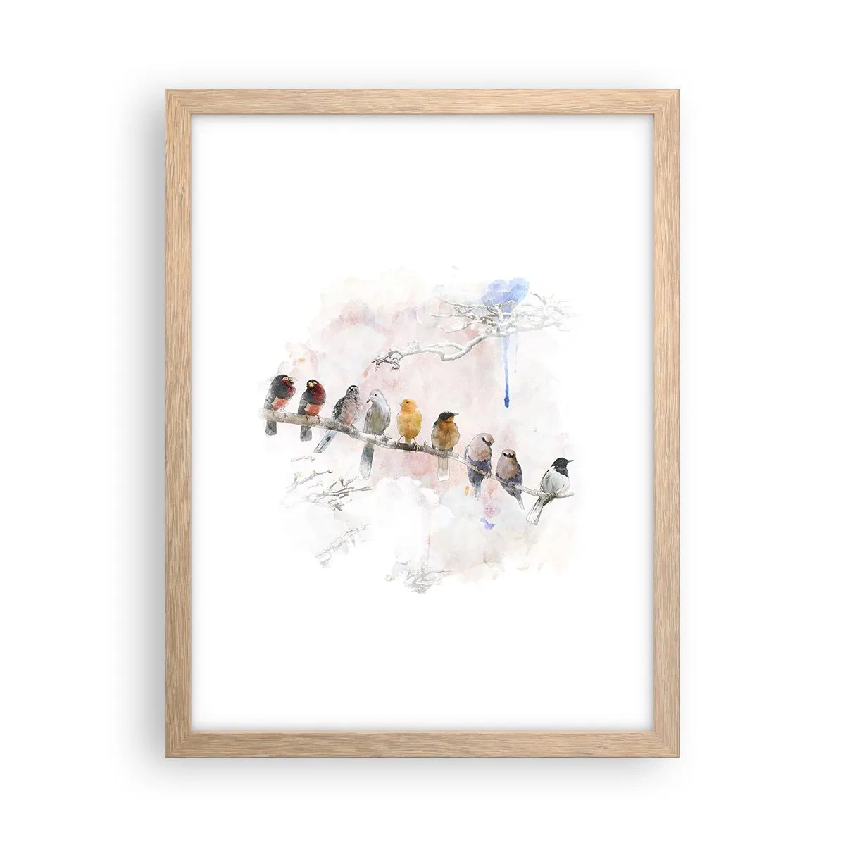 Affiche dans un chêne clair - Poster - Rencontre ailée - 30x40 cm