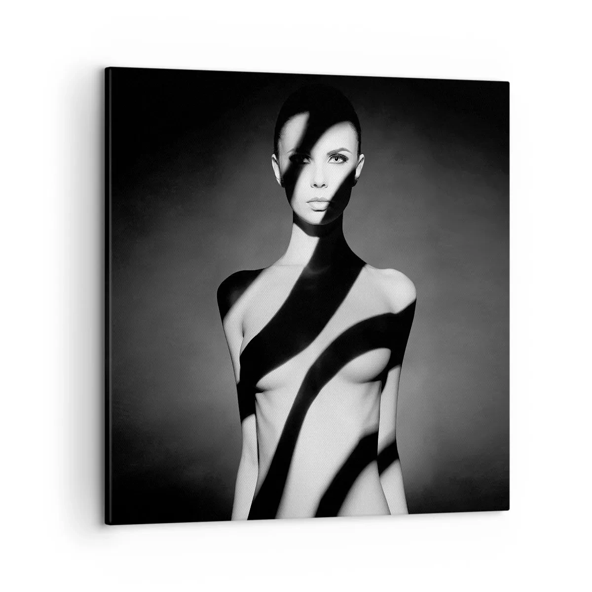 Impression sur toile - Image sur toile - Dans la brillance et l'ombre - 50x50 cm