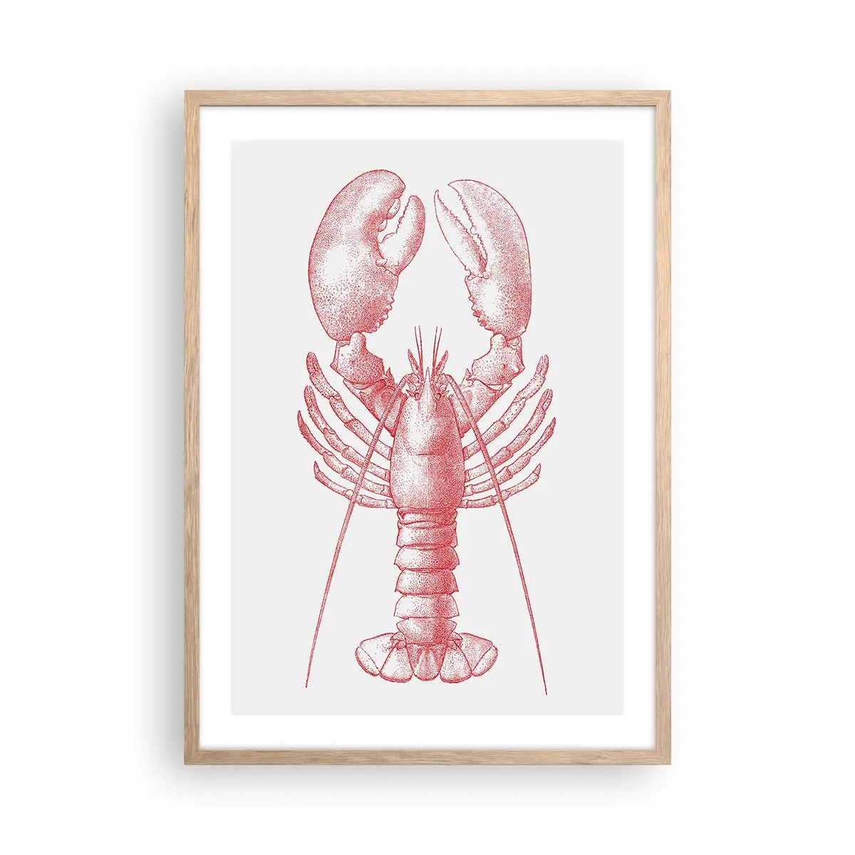Affiche dans un chêne clair - Poster - Un homard digne d'Homère - 50x70 cm