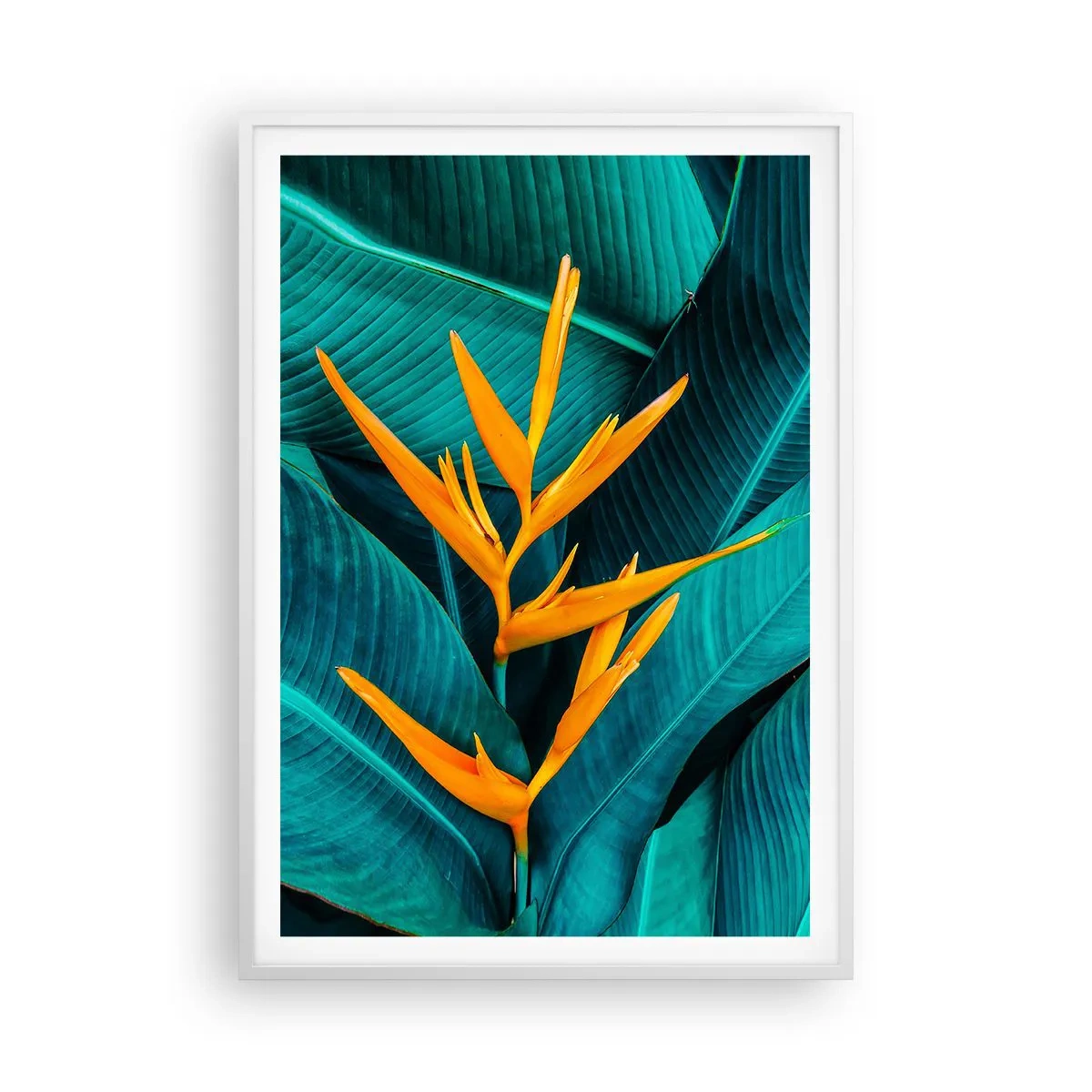 Affiche dans un cadre blanc - Poster - Fleur d'Eden - 70x100 cm