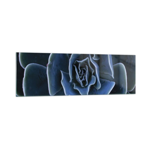 Impression sur verre - Image sur verre - Gros plan d'une rosette succulente verte - 160x50cm - Fleur du désert - Décoration murale moderne pour le salon et la chambre ARTTOR