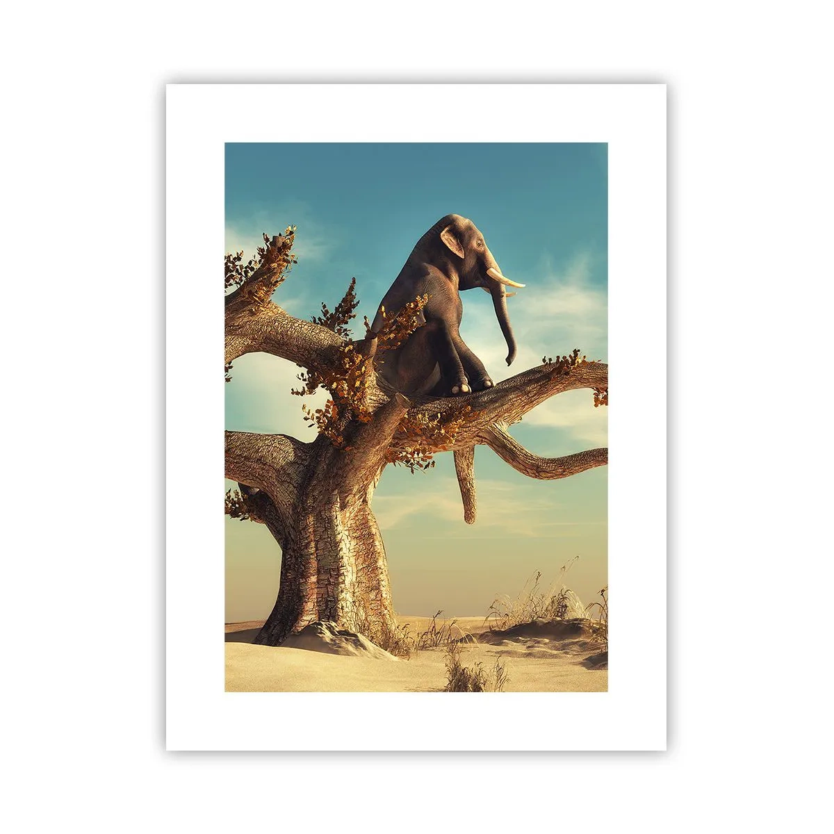 Affiche - Poster - Nouveau point de vue - 30x40 cm