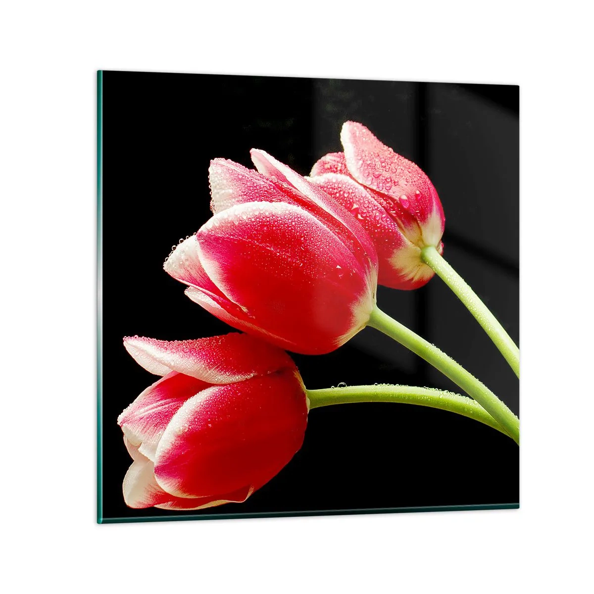 Impression sur verre - Image sur verre - Une promesse d'amour pur - 30x30 cm