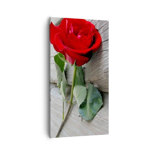 Impression sur toile - Image sur toile - Étude écarlate - 55x100 cm