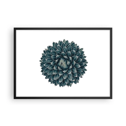 Affiche dans un cadre noir - Poster - Plante succulente symétrique sur fond blanc - 70x50cm - Étoile du désert - Décoration murale moderne pour le salon et la chambre ARTTOR