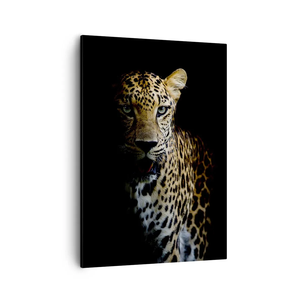 Impression sur toile - Image sur toile - Un léopard sur fond sombre avec un regard intense - 50x70cm - Beauté sombre - Décoration murale moderne pour le salon et la chambre ARTTOR