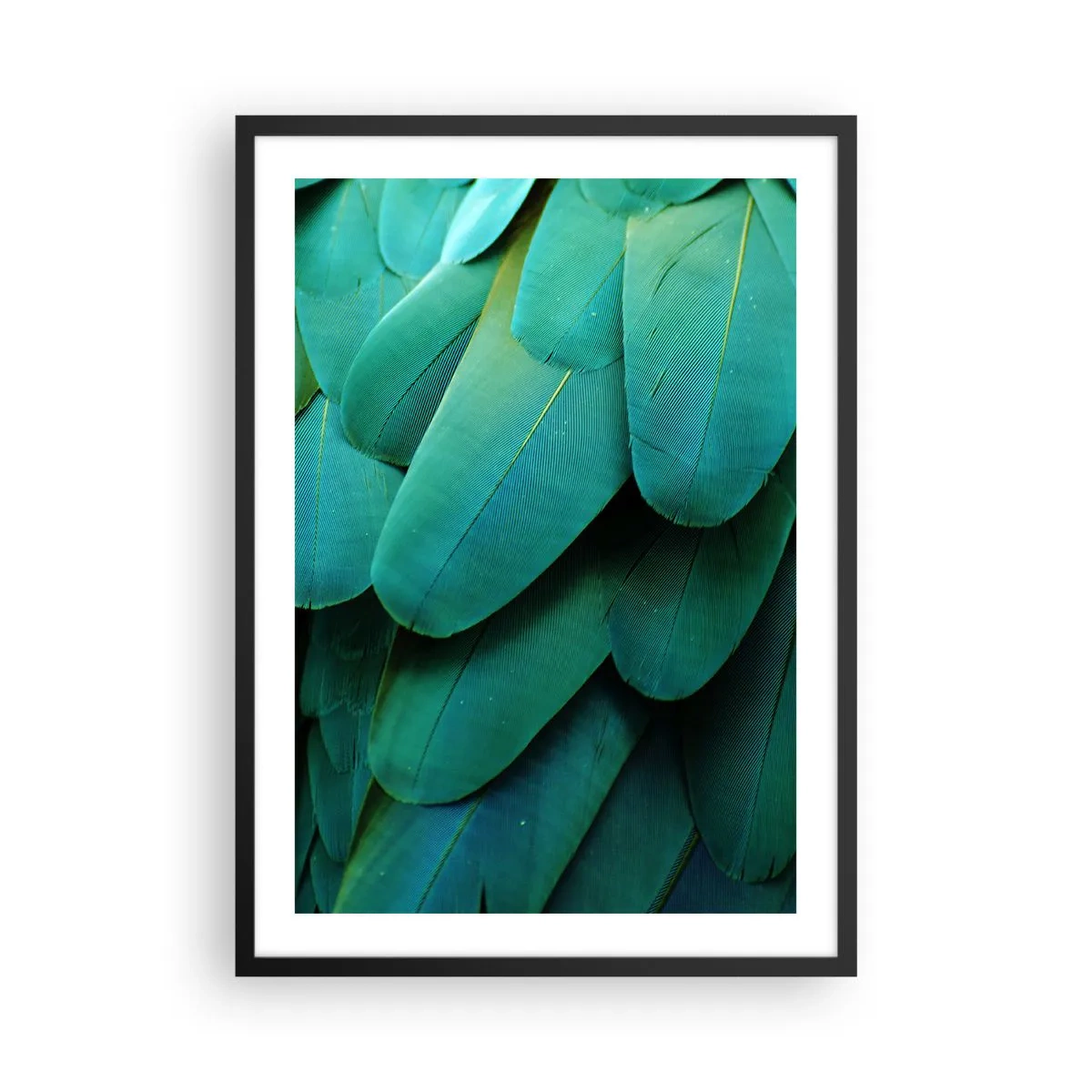 Affiche dans un cadre noir - Poster - Gros plan des plumes vertes d'un oiseau exotique - 50x70cm - Perfection de la nature du perroquet - Décoration murale moderne pour le salon et la chambre ARTTOR