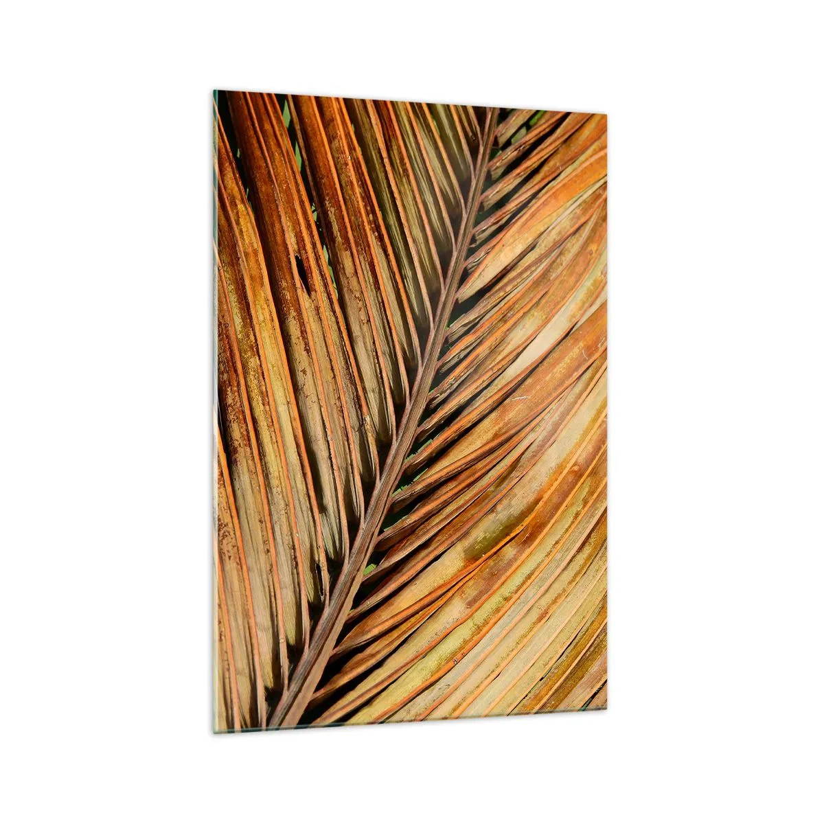 Impression sur verre - Image sur verre - Gros plan d'une feuille de palmier sèche aux tons chauds - 70x100cm - Or de noix de coco - Décoration murale moderne pour le salon et la chambre ARTTOR