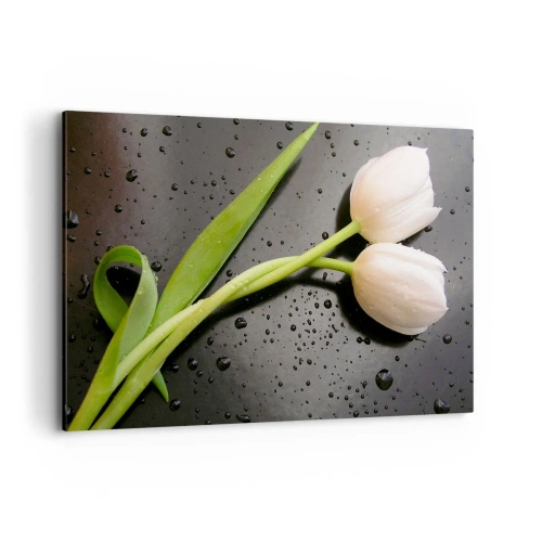 Impression sur toile - Image sur toile - Tulipes blanches sur fond noir avec des gouttes d'eau - 120x80cm - Tissage de printemps - Décoration murale moderne pour le salon et la chambre ARTTOR
