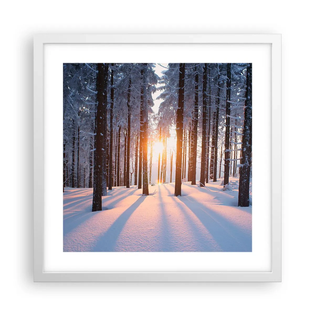 Affiche dans un cadre blanc - Poster - Clairement en noir et blanc - 40x40 cm