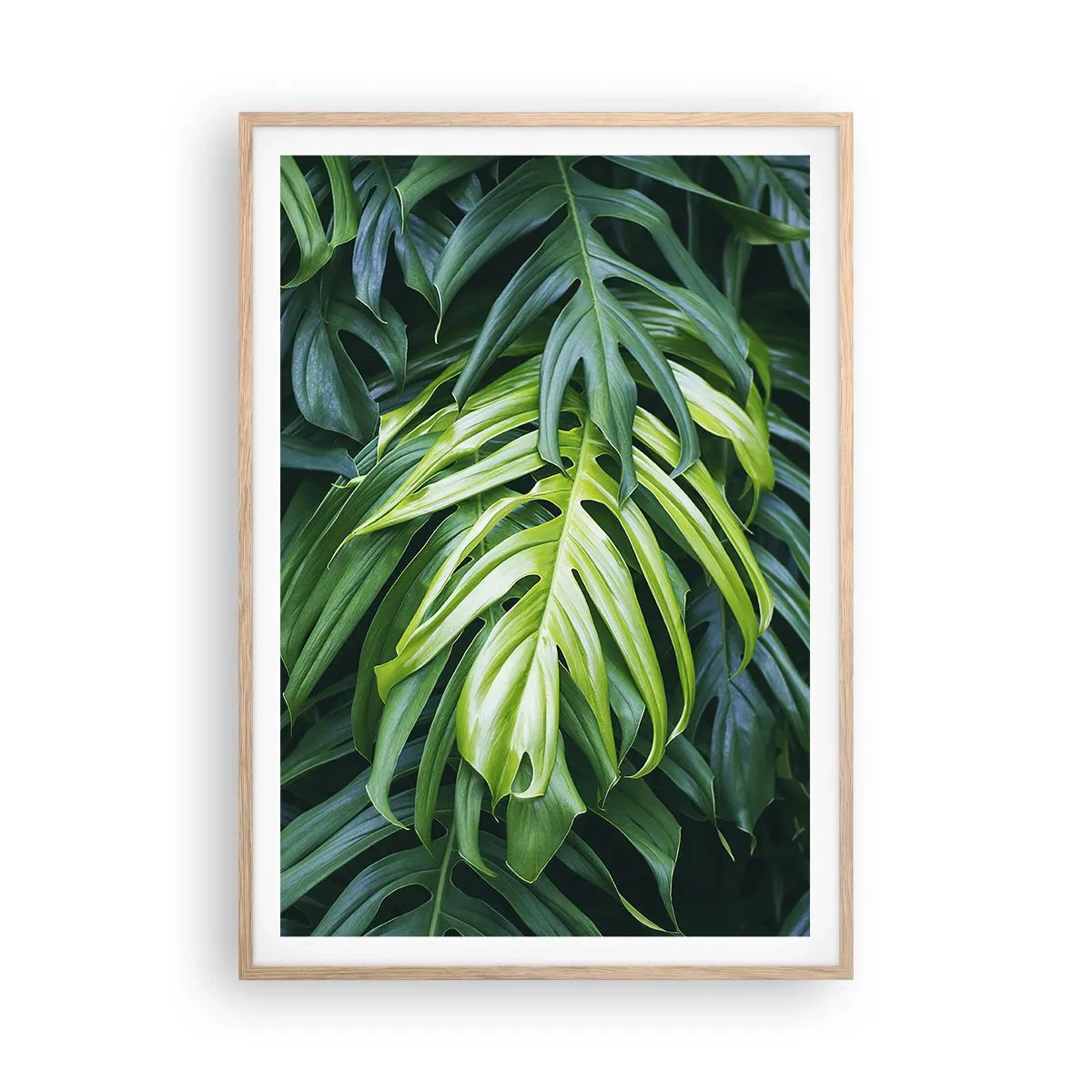 Affiche dans un chêne clair - Poster - Immergez-vous dans la fraîcheur - 70x100 cm
