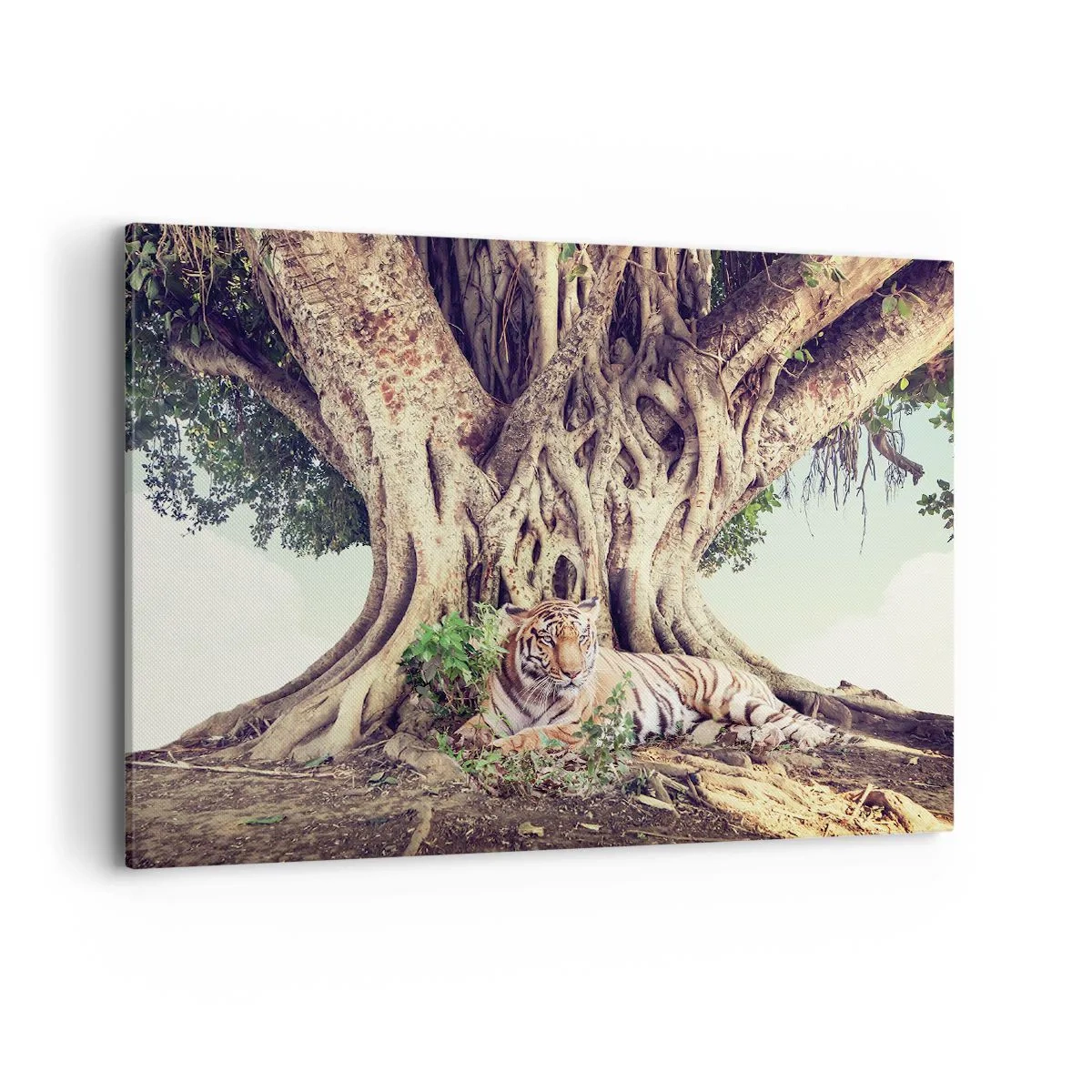 Impression sur toile - Image sur toile - Un tigre se reposant sous un arbre étendu - 100x70cm - Vue du Livre de la Genèse - Décoration murale moderne pour le salon et la chambre ARTTOR