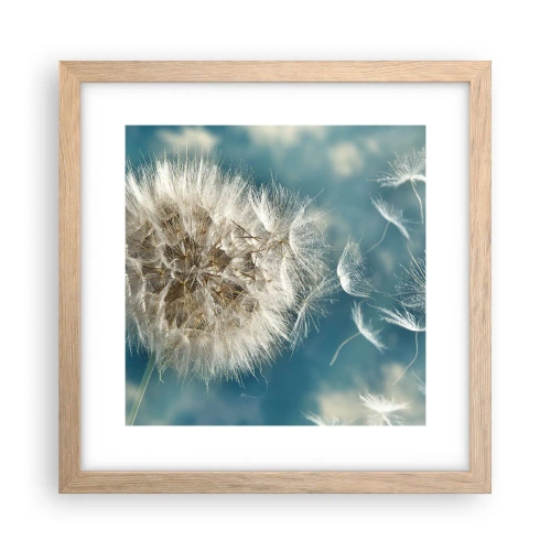 Affiche dans un chêne clair - Poster - souffle d'ange - 30x30 cm