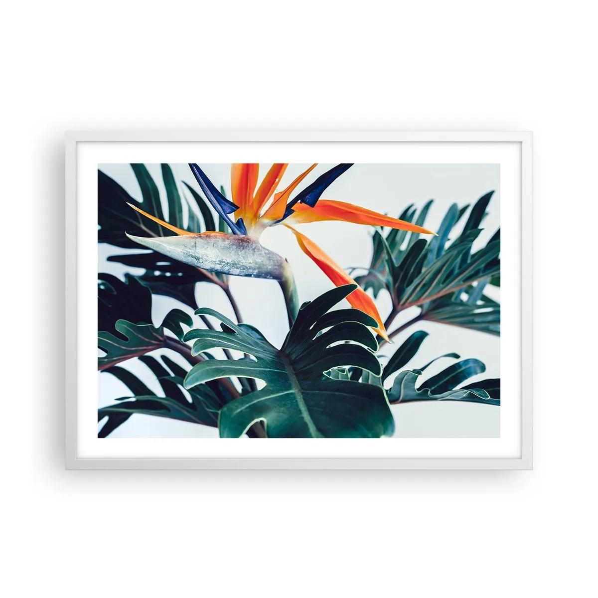 Affiche dans un cadre blanc - Poster - Le buisson oiseaux - 70x50 cm