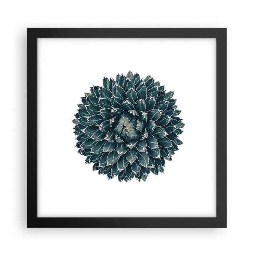 Affiche dans un cadre noir - Poster - Étoile du désert - 30x30 cm