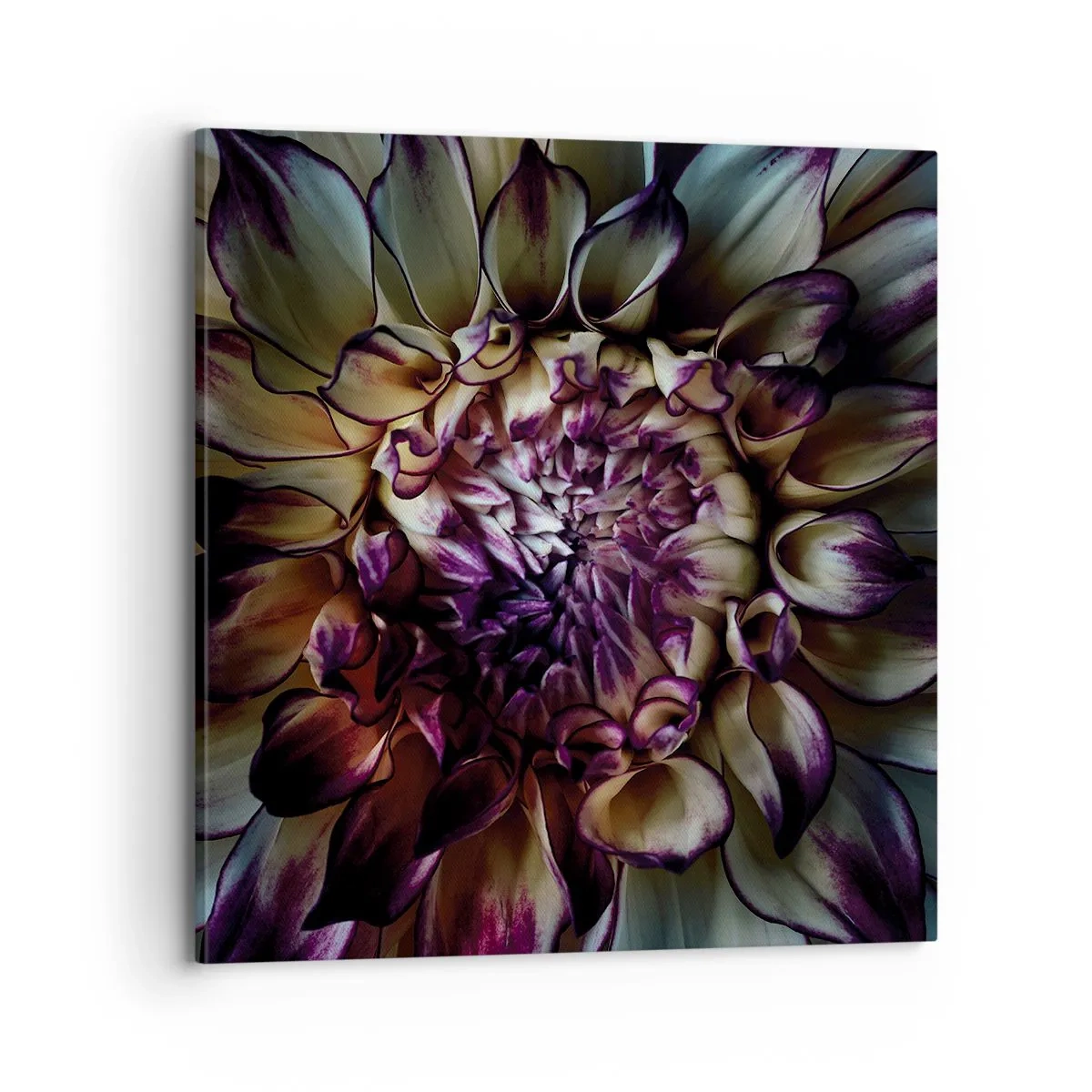 Impression sur toile - Image sur toile - L'apogée de la jeunesse - 70x70 cm