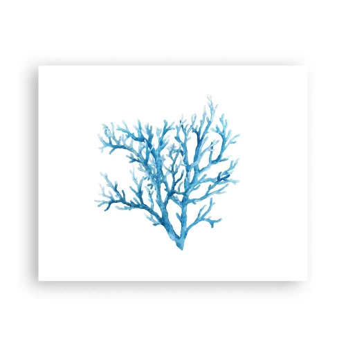 Affiche - Poster - Filigrane nautique - 50x40 cm