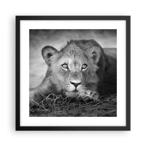 Affiche dans un cadre noir - Poster - Chiot royal - 40x40 cm