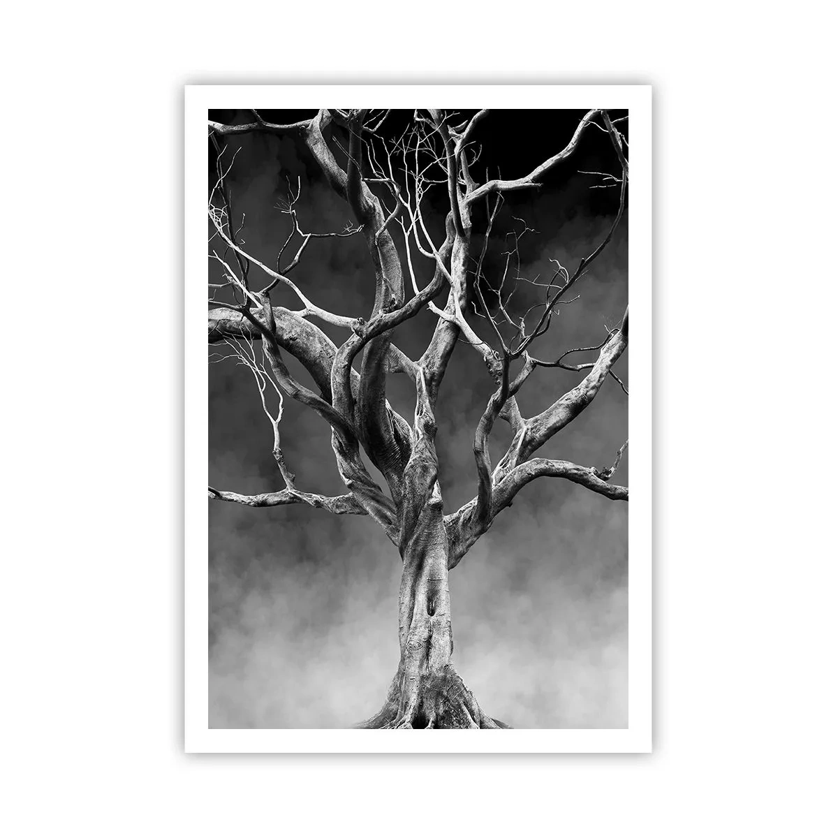 Affiche - Poster - Primordial et sacré - 70x100 cm