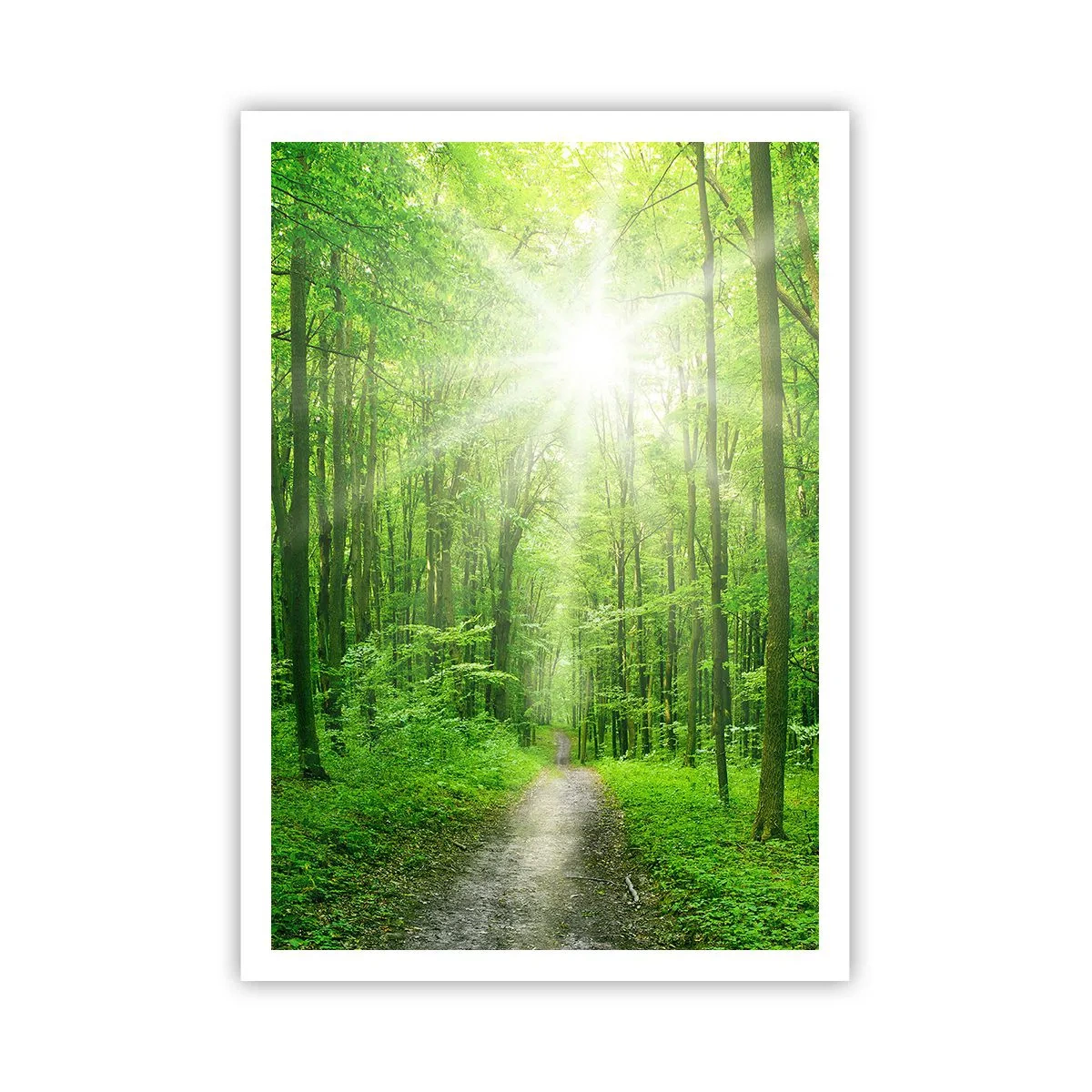 Affiche - Poster - Cathédrale verte - 70x100 cm