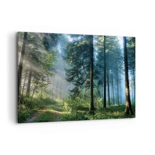 Impression sur toile - Image sur toile - Un chemin forestier illuminé par les rayons du soleil du matin - 100x70cm - Rayonnant le matin - Décoration murale moderne pour le salon et la chambre ARTTOR