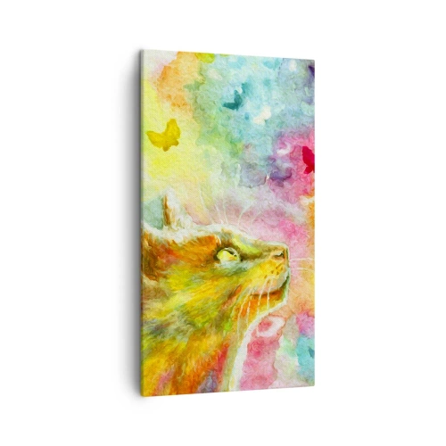 Impression sur toile - Image sur toile - Bayou-bayou au paradis des chats - 45x80 cm