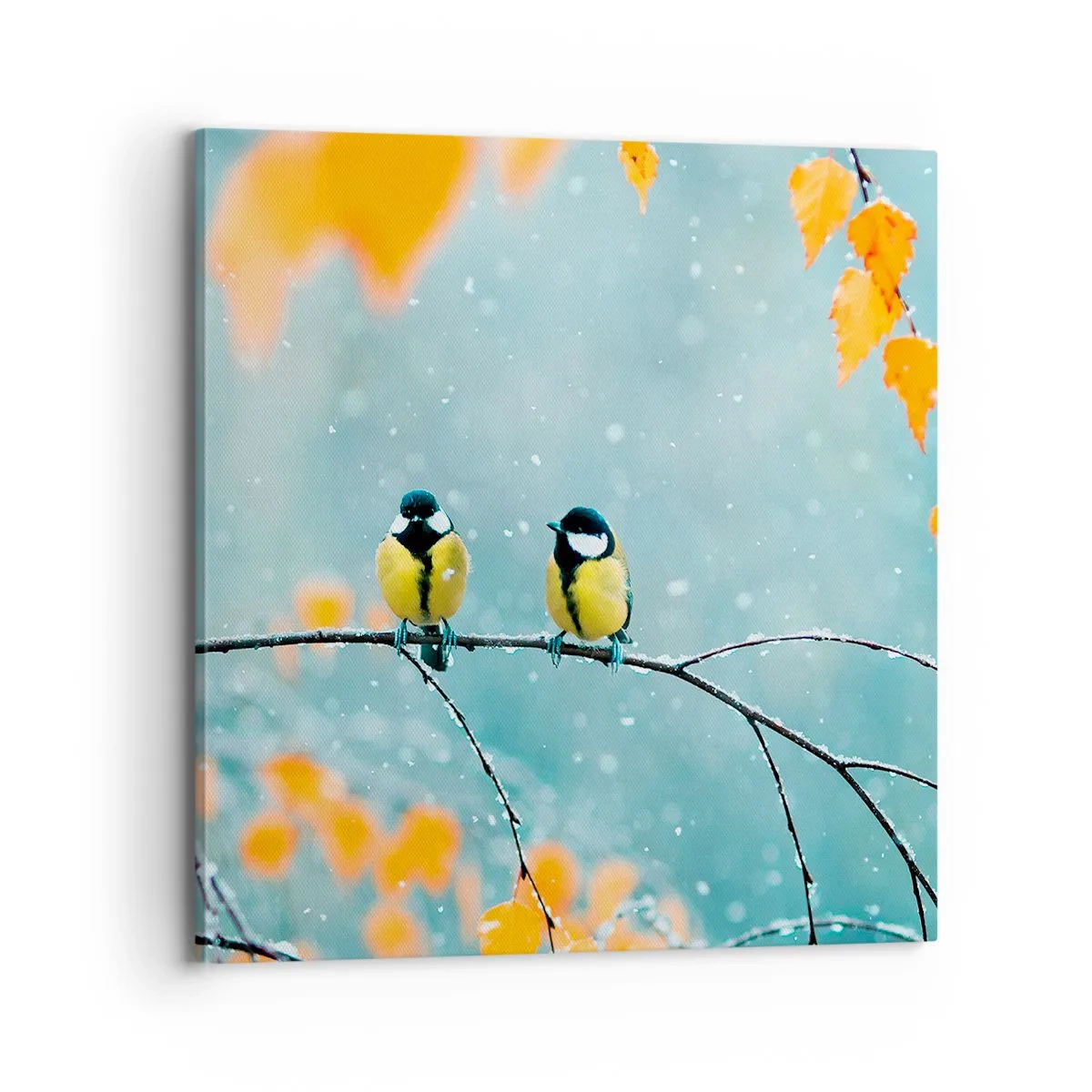 Impression sur toile - Image sur toile - Potins d'oiseaux - 70x70 cm