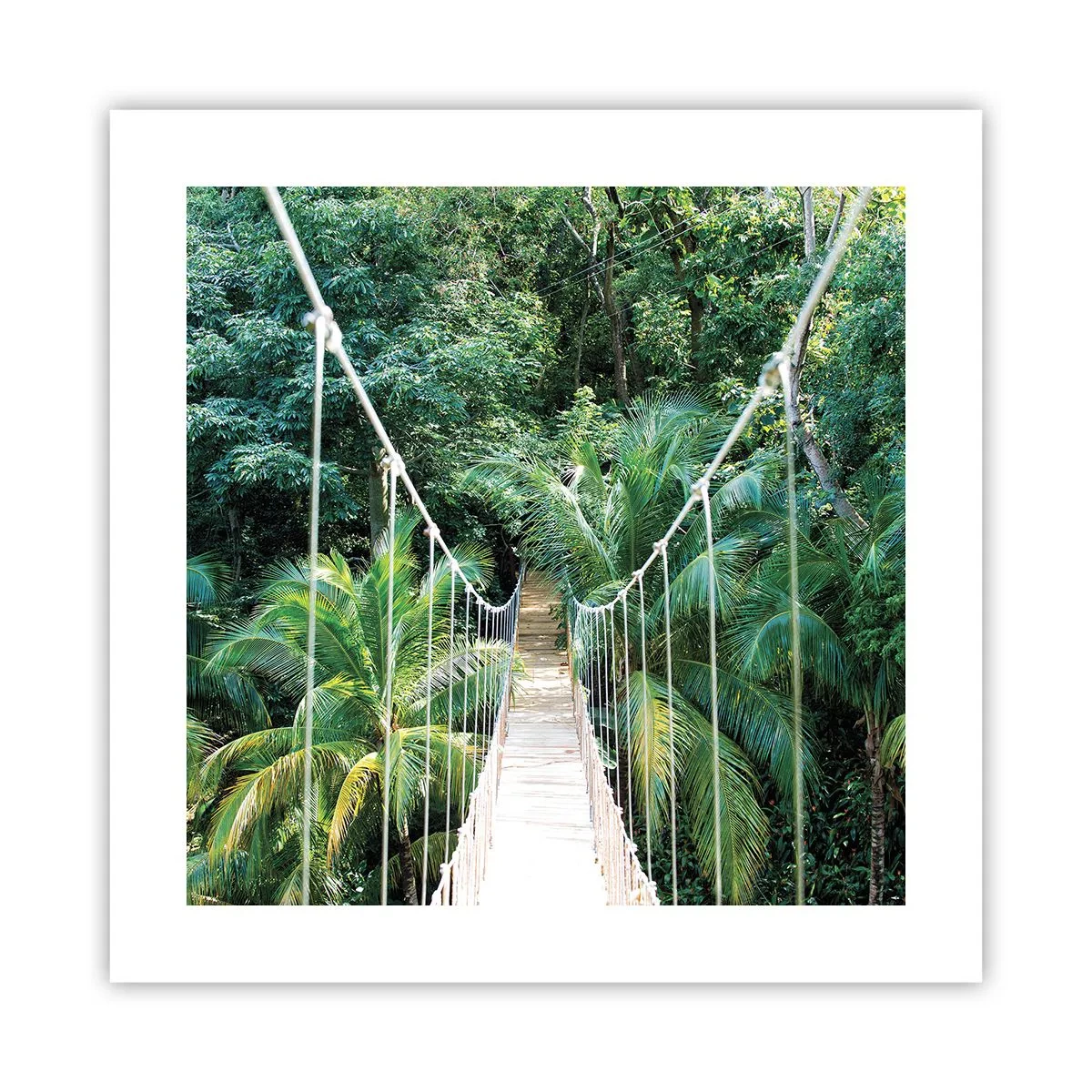 Affiche - Poster - Welcome to the jungle! - 40x40 cm