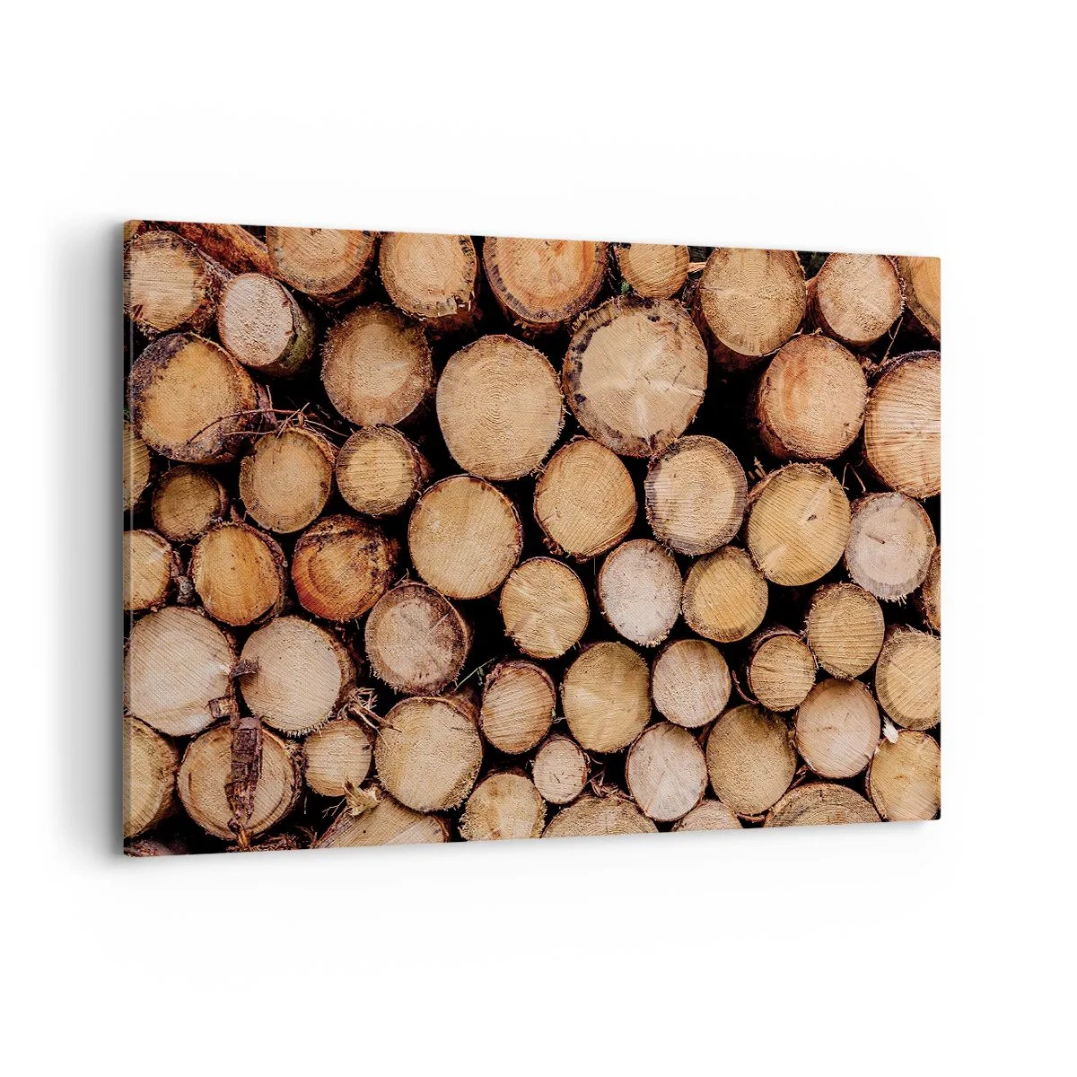 Impression sur toile - Image sur toile - Des tas de troncs d'arbres abattus disposés en harmonie - 120x80cm - Nouveau commencement - Décoration murale moderne pour le salon et la chambre ARTTOR