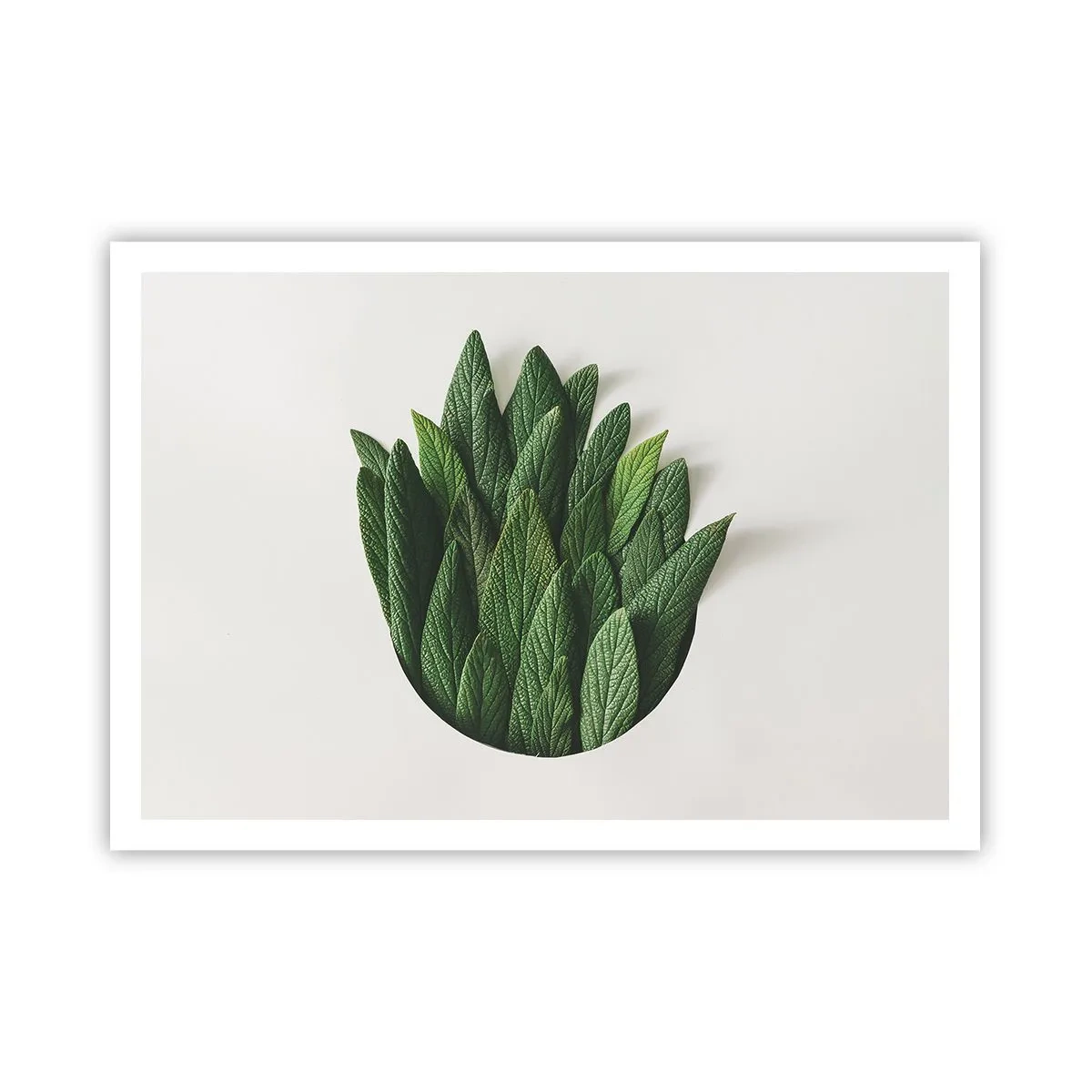 Affiche - Poster - Une composition de feuilles vertes sur un fond clair - 100x70cm - Curiosité sans retenue - Décoration murale moderne pour le salon et la chambre ARTTOR