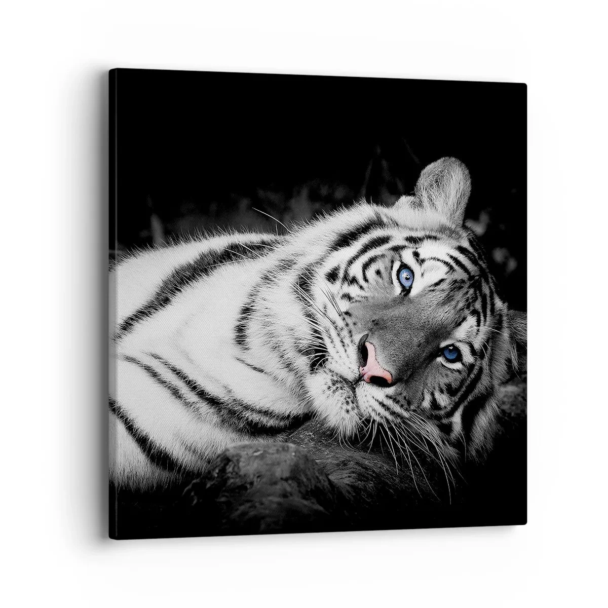 Impression sur toile - Image sur toile - Sauvagerie et paix - 40x40 cm