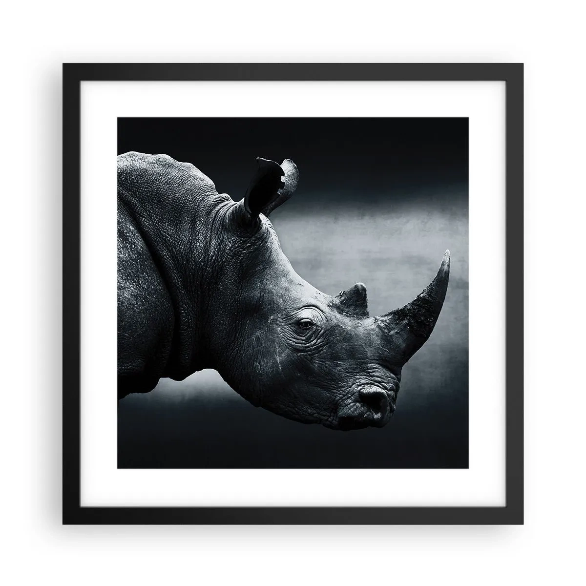 Affiche dans un cadre noir - Poster - Le profil droit - 40x40 cm