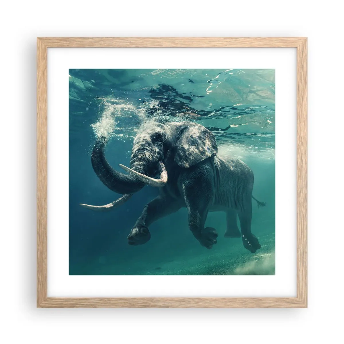Affiche dans un chêne clair - Poster - Tout le monde aime nager - 40x40 cm