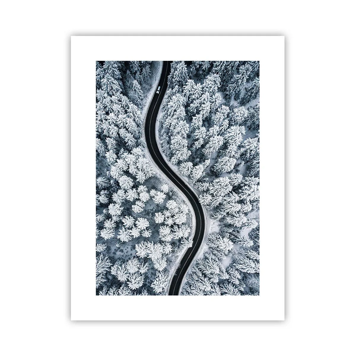 Affiche - Poster - À travers une forêt d'hiver - 30x40 cm