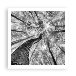 Affiche - Poster - Course vers la lumière - 60x60 cm