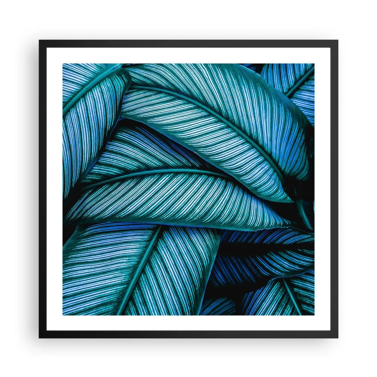 Affiche dans un cadre noir - Poster - Lignes de vie - 60x60 cm