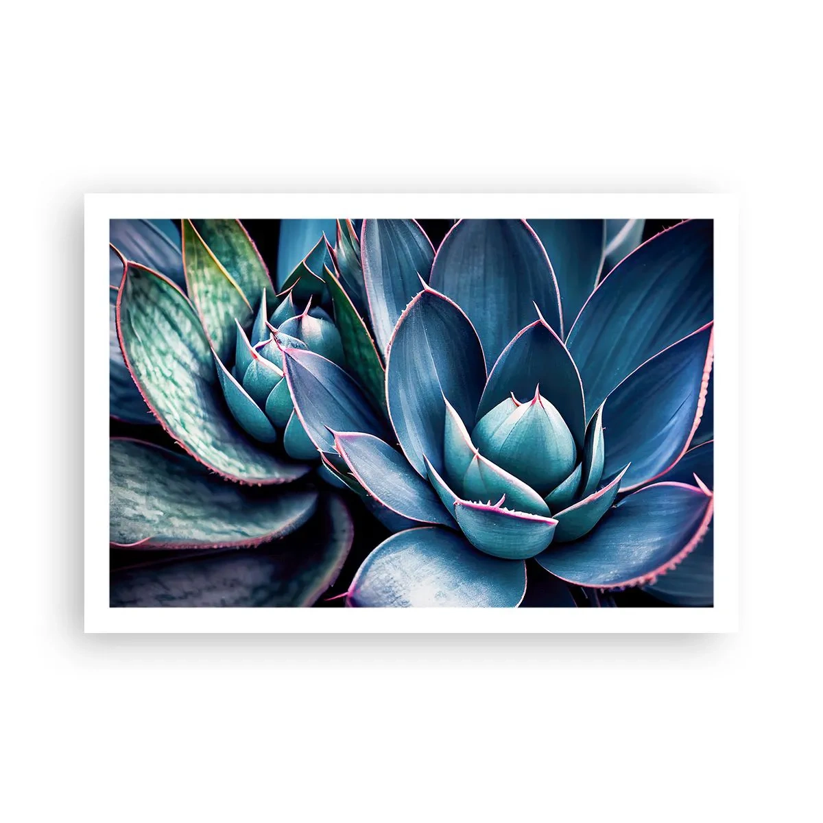 Affiche - Poster - Force vital - 91x61 cm