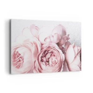 Impression sur toile - Image sur toile - Pivoines roses dans une lumière douce sur un fond clair - 120x80cm - Pour les romantiques - Décoration murale moderne pour le salon et la chambre ARTTOR